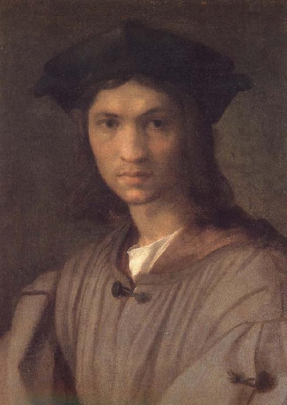 Andrea del Sarto Man portrait Sweden oil painting art